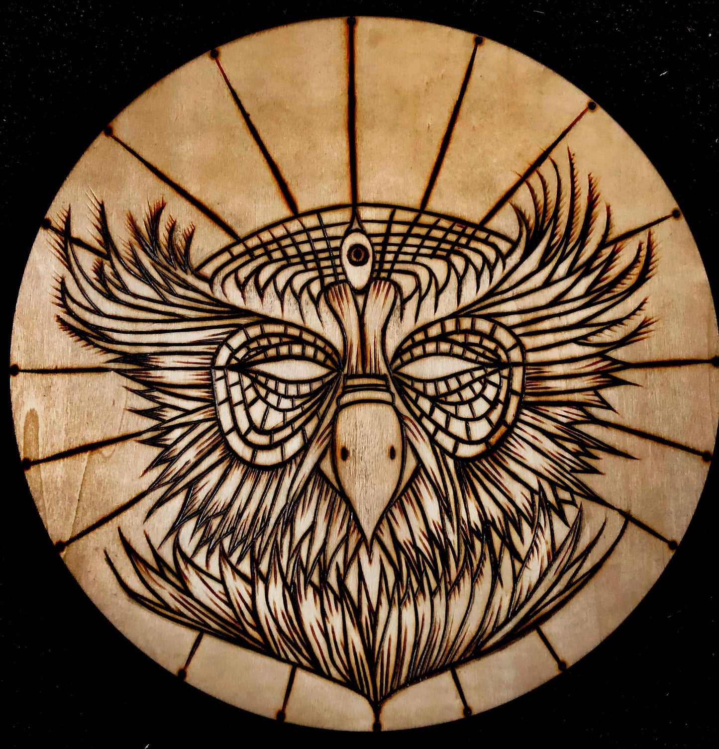 Enlightened Owl
