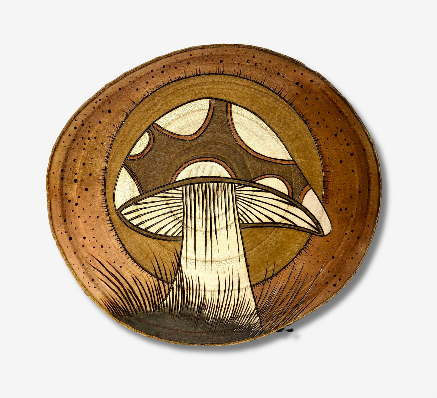 Mushroom in front of Sun
